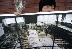 Bosnian Genocide (1992), Relative of the Omarska concentration camp victims near the Western Bosnian town of Prijedor in Bosnia-Herzegovina holds photos of excavated bodies of her relatives on 06 August, 2006.